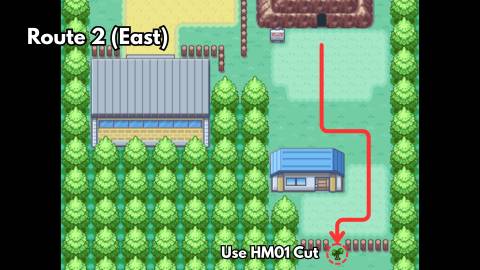 HM05 Flash location in pokemon firered leafgreen
