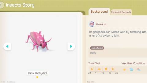 How to Catch Pink Katydid in Heartopia