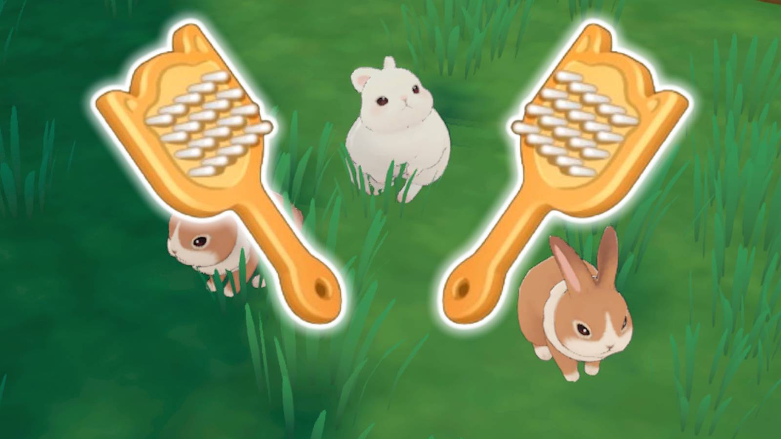 How to Clean Animals in Starsand Island header