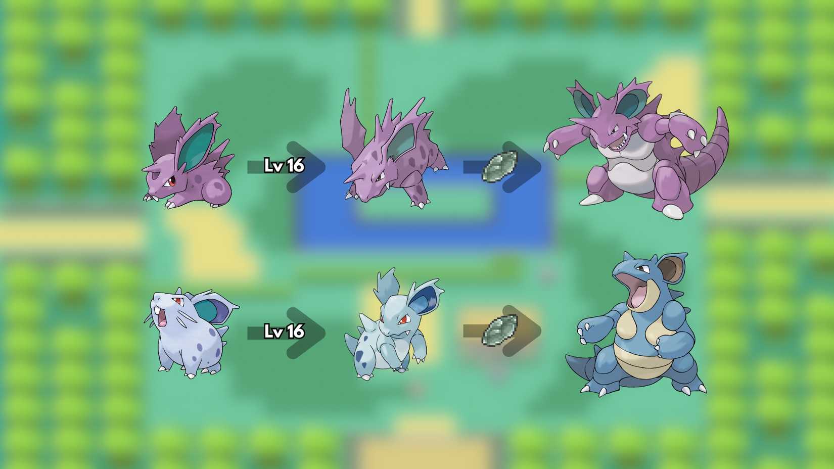 how to evolve nidoran into nidoking and nidoqueen in pokemon firered leafgreen