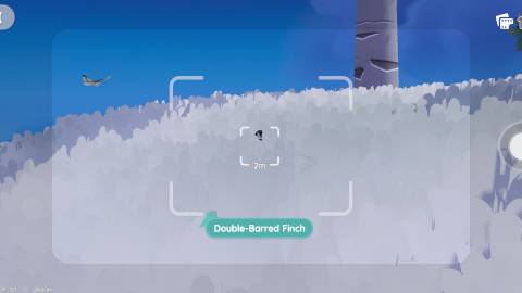 How to Find Double-Barred Finch in Heartopia