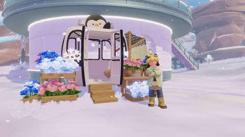 How to Get Highland Poppy Seeds Heartopia