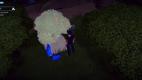 how to harvest a key chocolate ingredient disney dreamlight valley