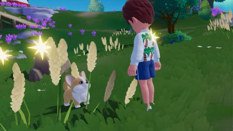 how to level up dog caring heartopia 