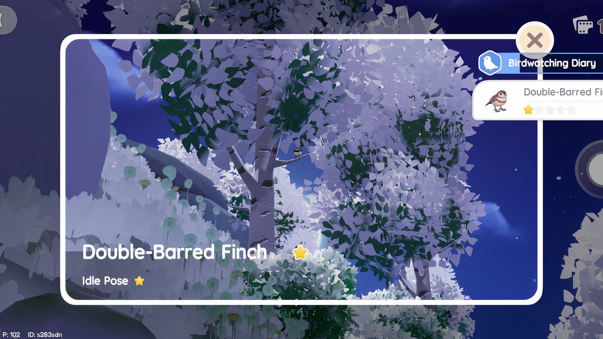 How to Photograph the Double-Barred Finch