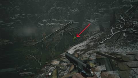 How to Turn on Electricity to the Sluice Gate in Resident Evil Village (2)