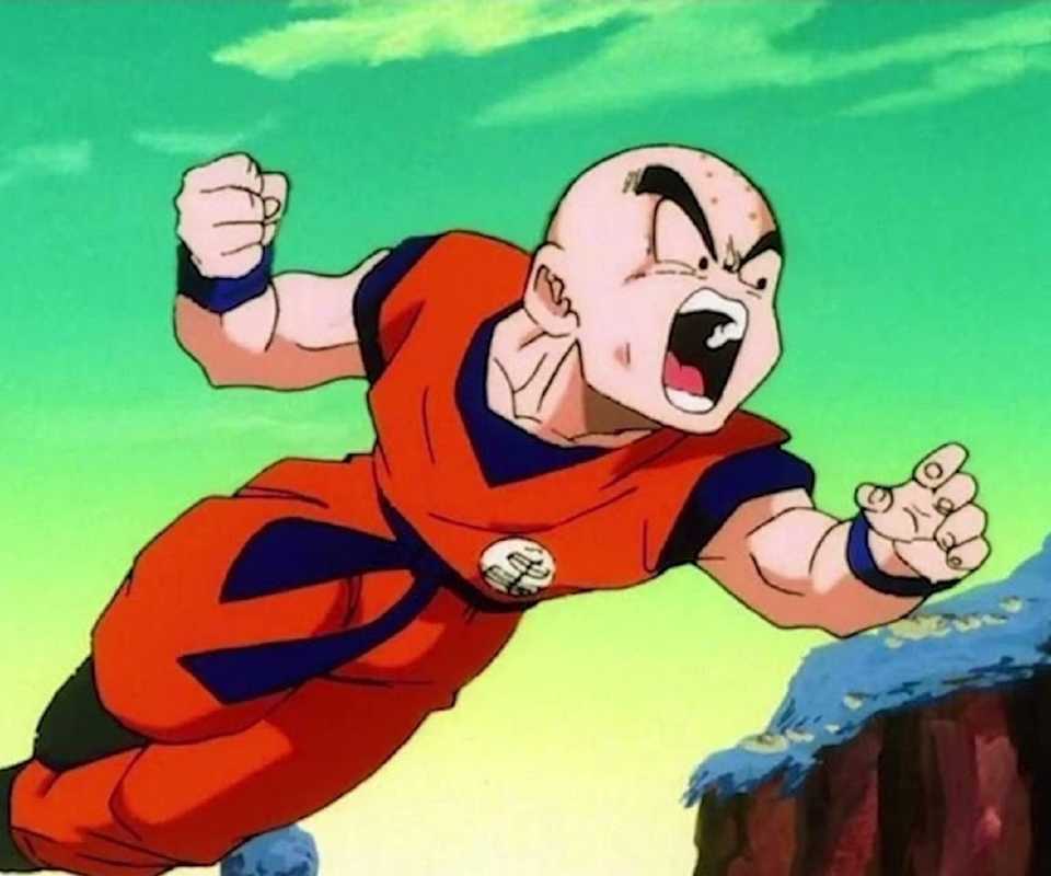 Krillin Namek