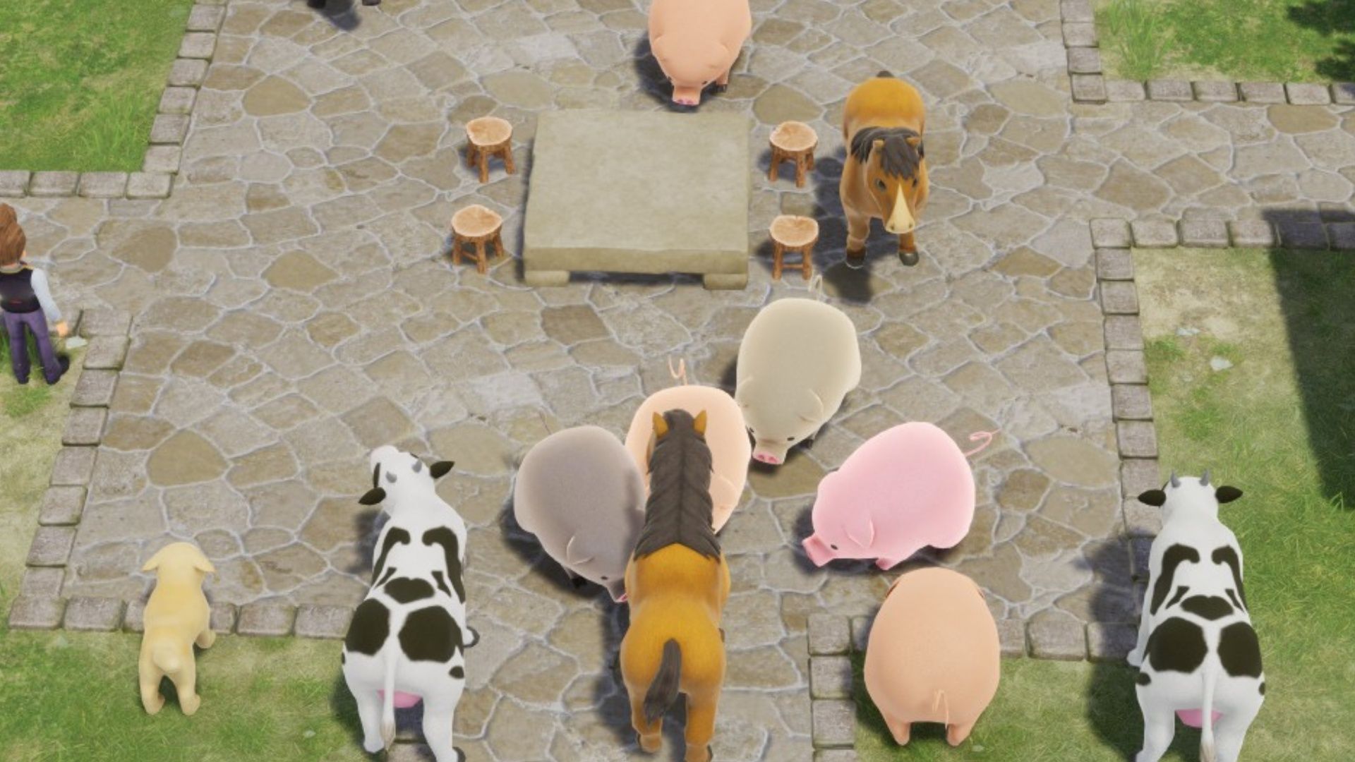 L'Arca Animal Minigame Solution Answers