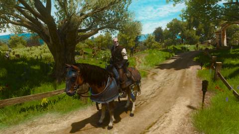 Legendary Manticore Armor, Witcher 3 (1)