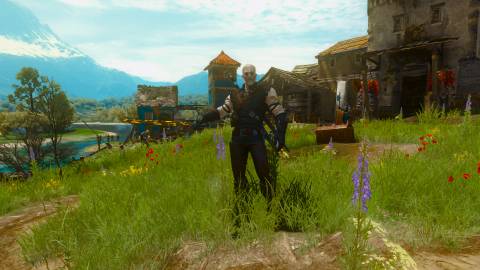 Legendary Manticore Armor, Witcher 3 (2)