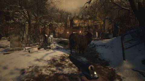 Meat Location #4 (Graveyard, Village)