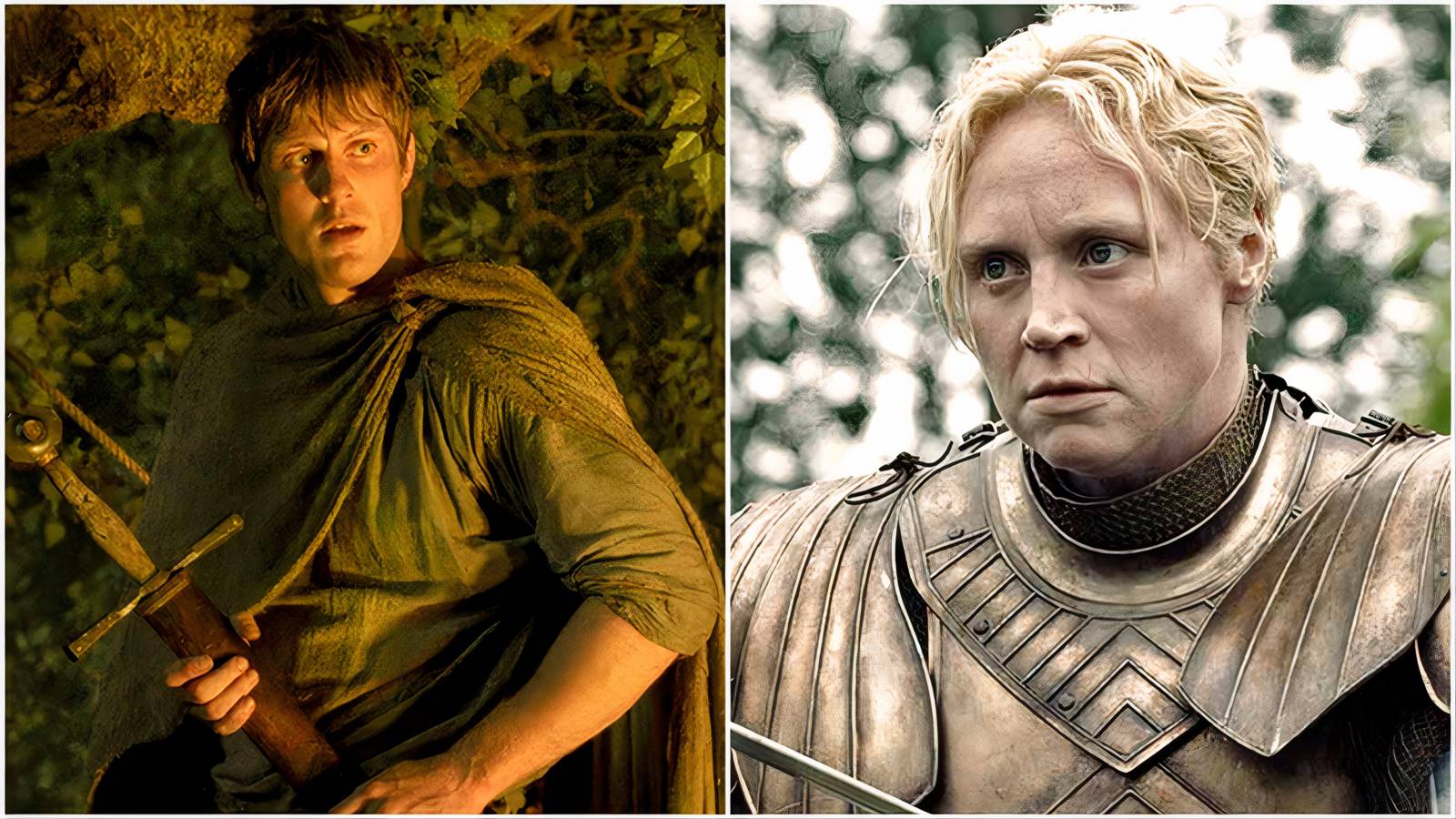 Dunk And Brienne in George R.R. Martin's Universe.