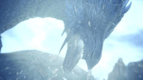 Monster Hunter World Dragon Close Up Head