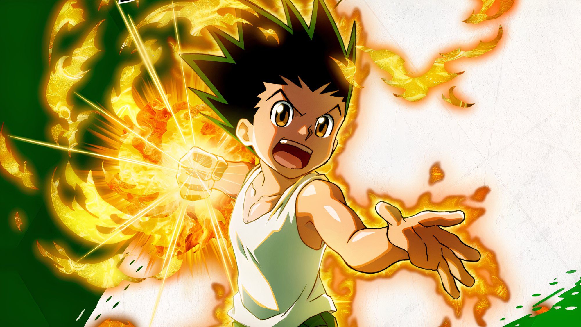 hunter x hunter Comeback New Animation nen x survivor