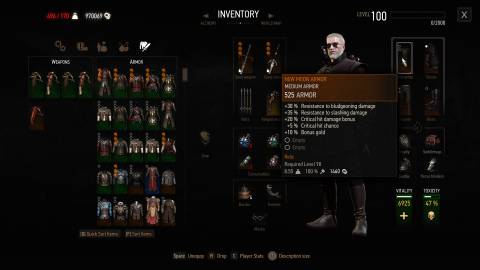 New Moon Armor, Witcher 3-1 (1)