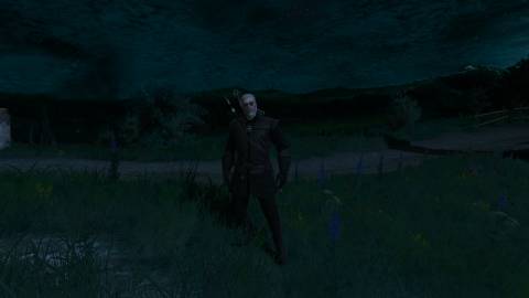 New Moon Armor, Witcher 3 (1)