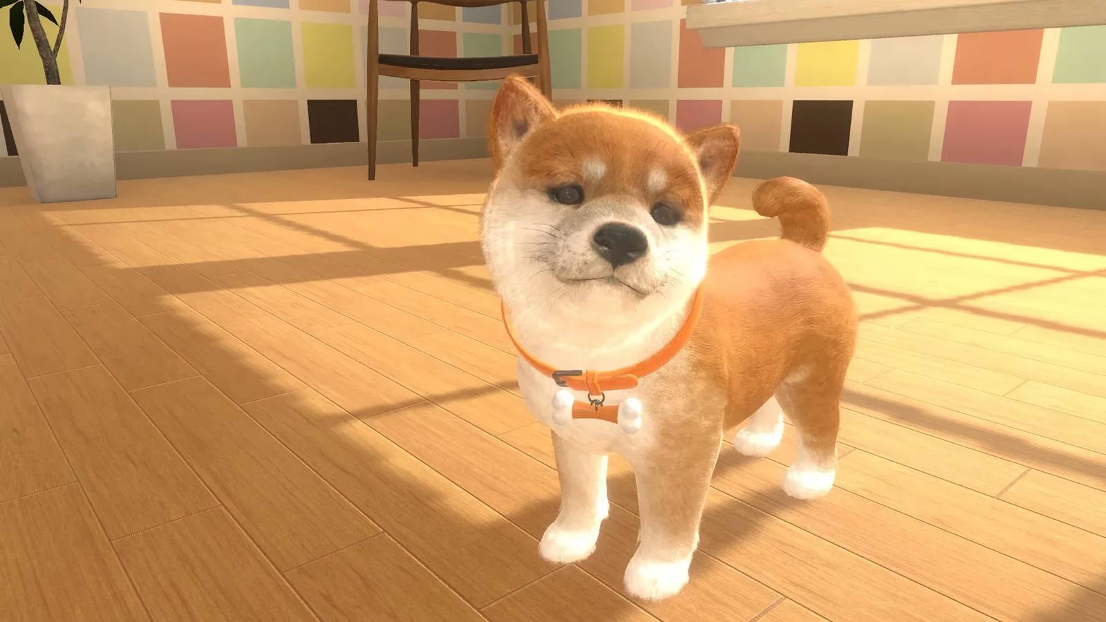 Nintendogs Fan Collects 52 Games and Cares for All the Dogs