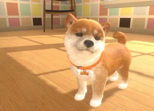 Rumor: 2 Franchise Besar Nintendo Dikabarkan Dapat Game Switch 2 8 Nintendogs Fan Collects 52 Games and Cares for All the Dogs