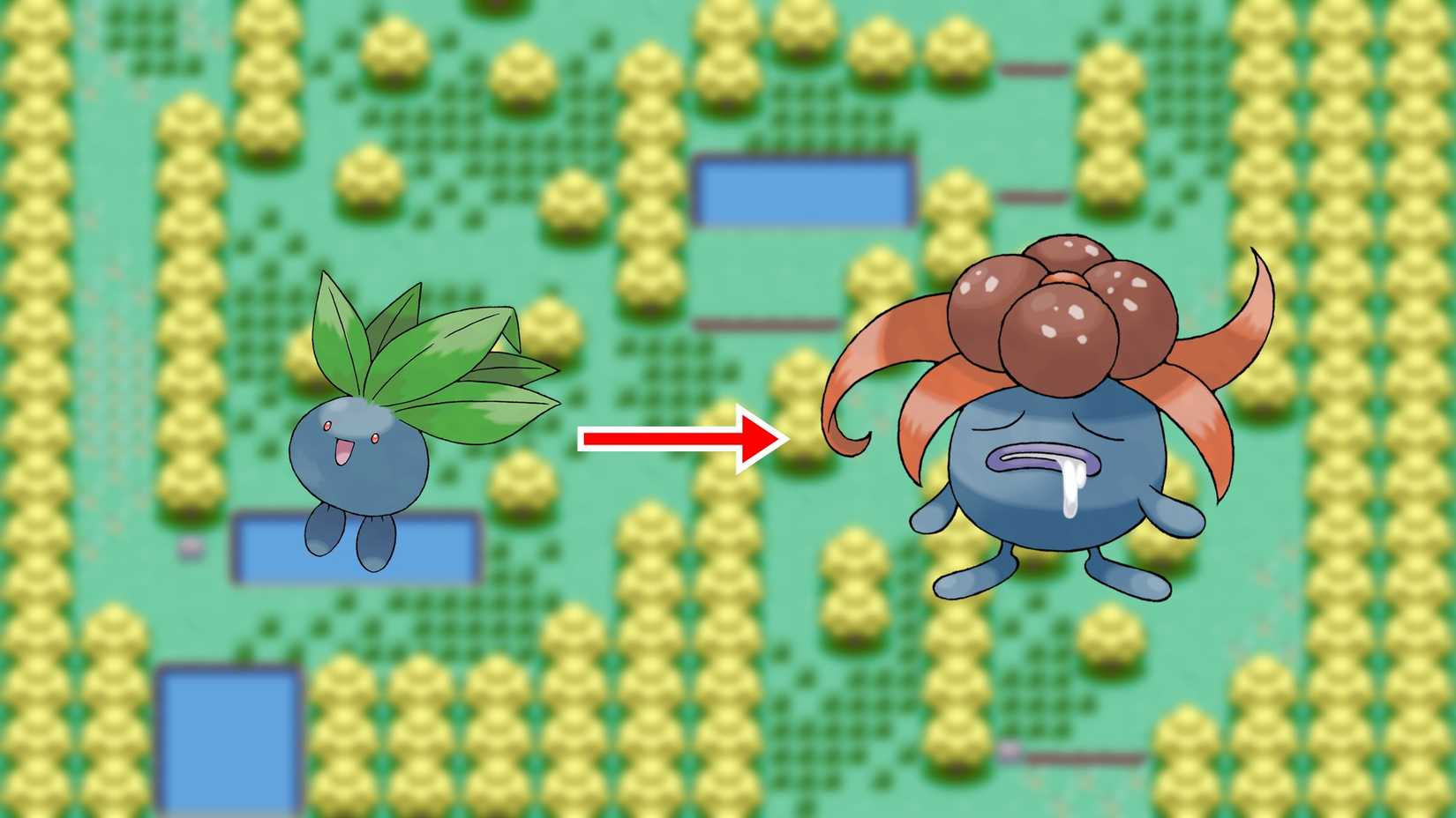 How to Evolve Oddish in Pokemon FireRed & LeafGreen