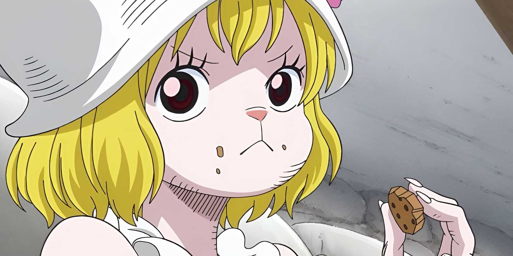 one piece all luffy love interests ranked weakest to strongest carrot