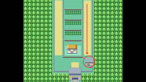 pokemon fan club bike voucher pokemon firered leafgreen (2)