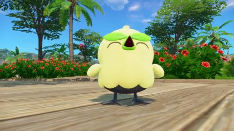 Pokemon Winds and Waves starters (1) Browt