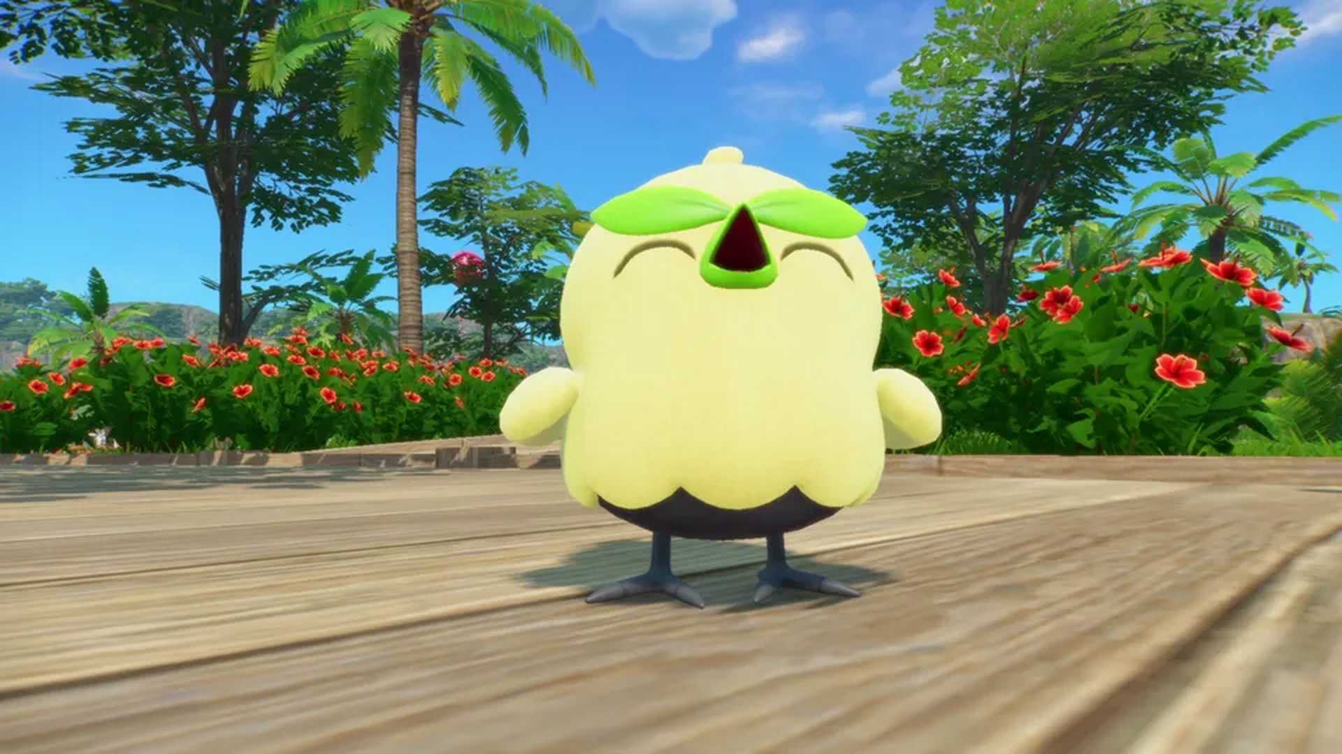 Pokemon Winds and Waves starters (1) Browt