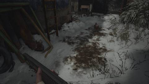 poultry location 1 (2)