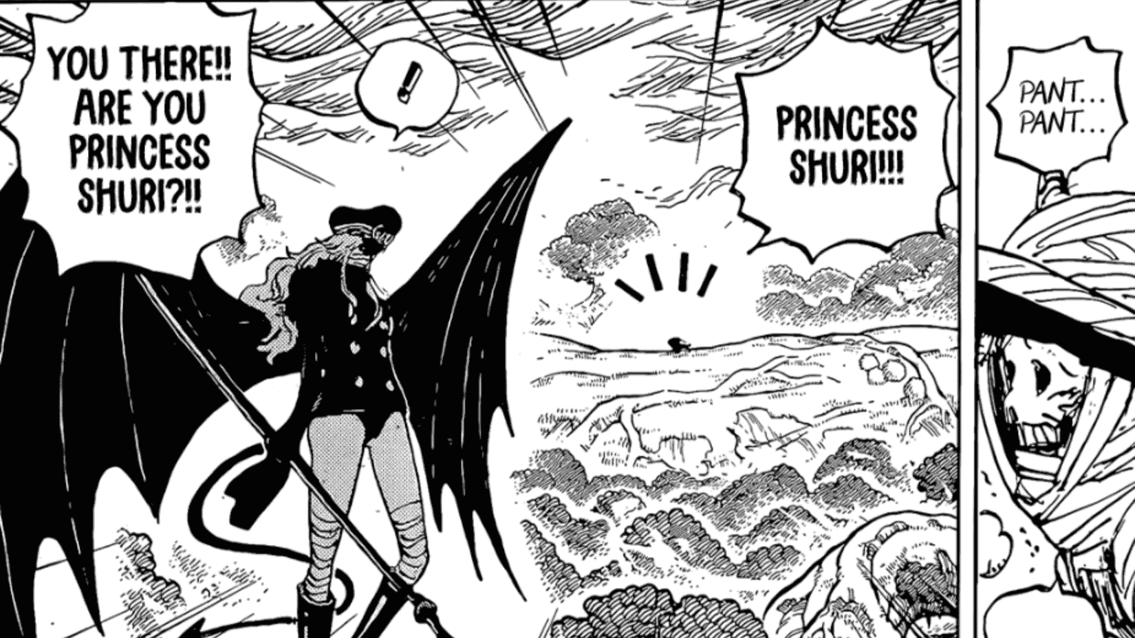 princess shuri gunko final straw hat pirate one piece