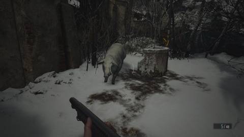 quality meat location-1