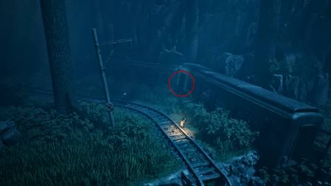 REANIMAL First Coffin 2