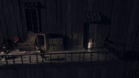 REANIMAL Thirteenth Poster 2