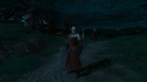 Redanian Halberdier_s Armor, Witcher 3 (1)