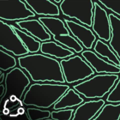 Rive Camo - Black Ops 7