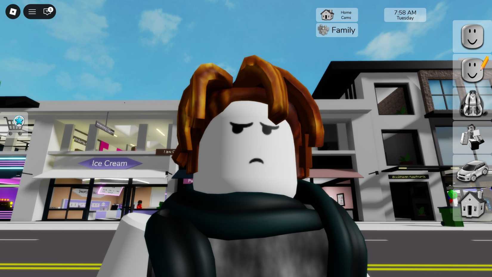 Roblox player