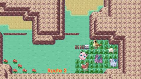 Route 3 Farming Spot Pokemon FireRed LeafGreen