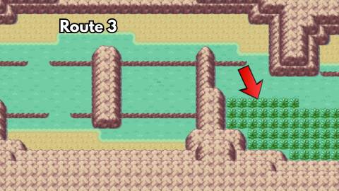 route 3 in pokemon firered leafgreen