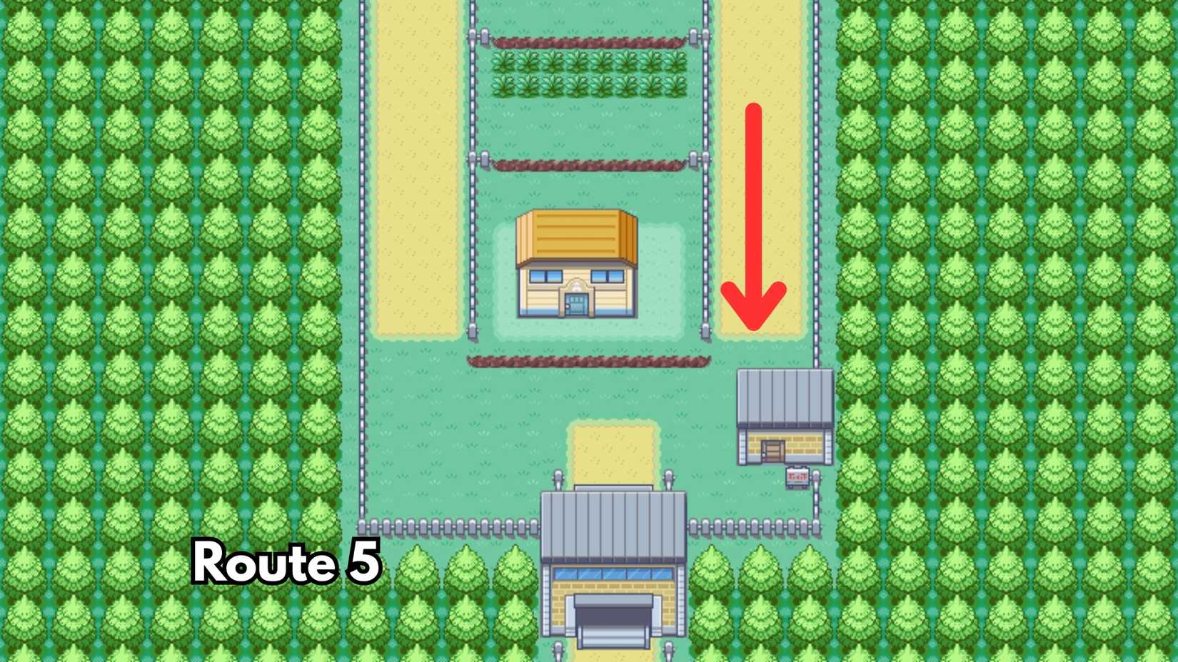 route 5 hm01 cut location pokemon firered leafgreen
