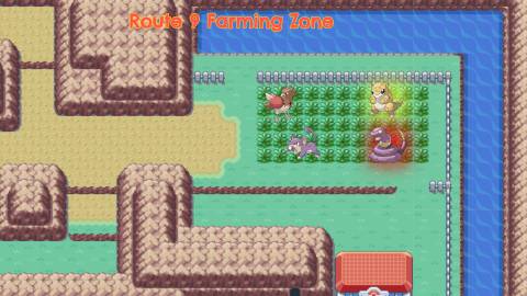 Route 9 Farming Zone with Pokemon Center close by Rock Tunnel Entrance Pokemon FireRed LeafGreen