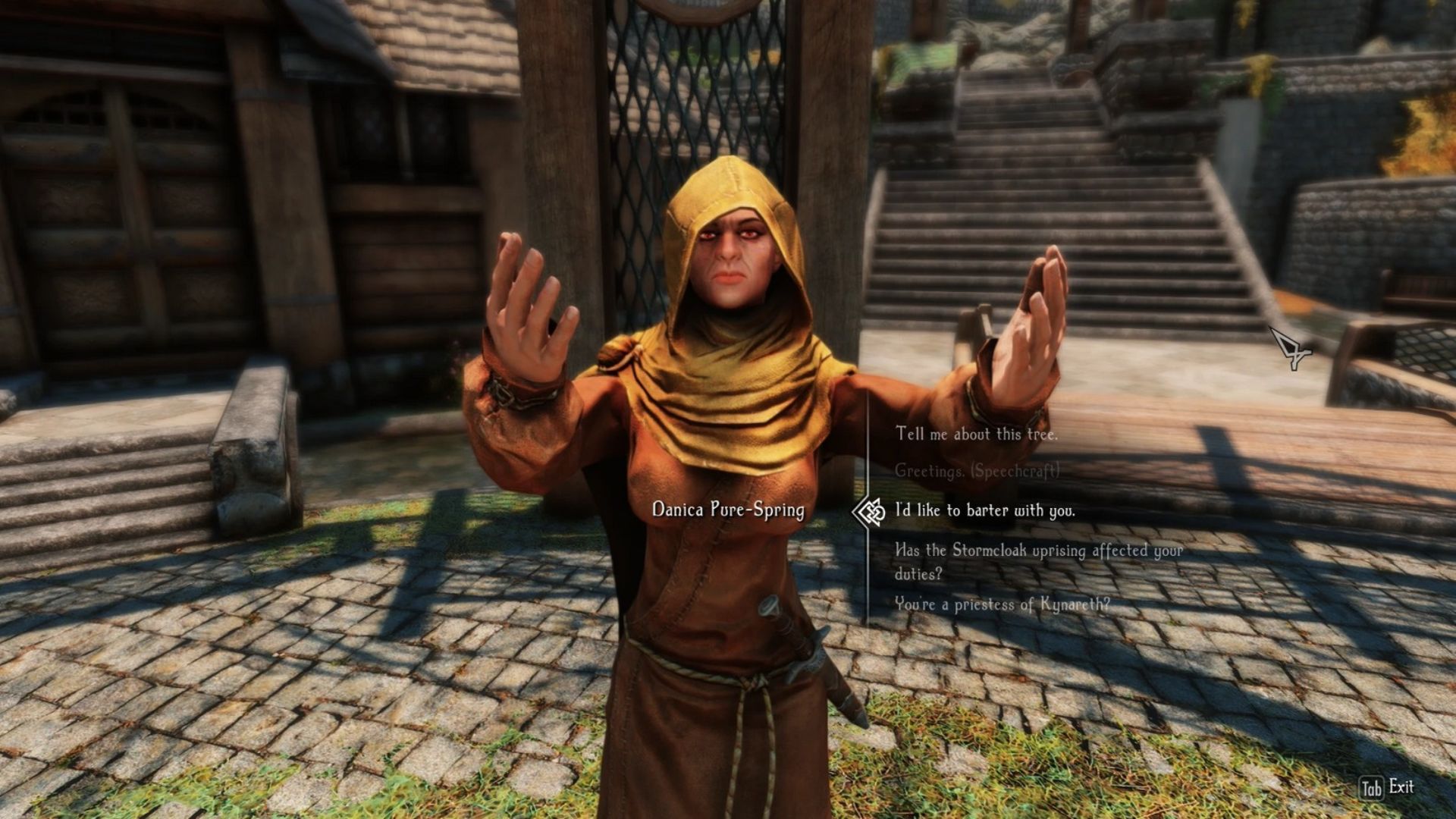 Skyrim Bartering with Danica (1)