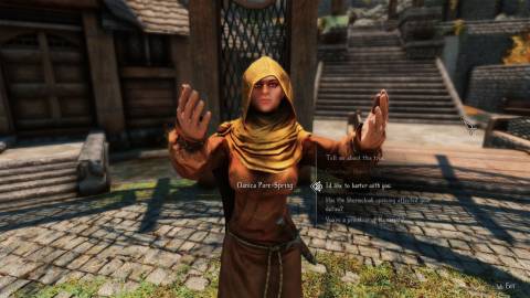 Skyrim Bartering With Danica(1)