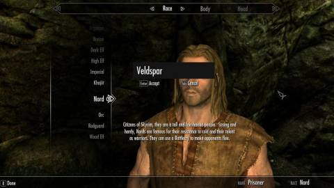 Skyrim Optional Quick Start(1)