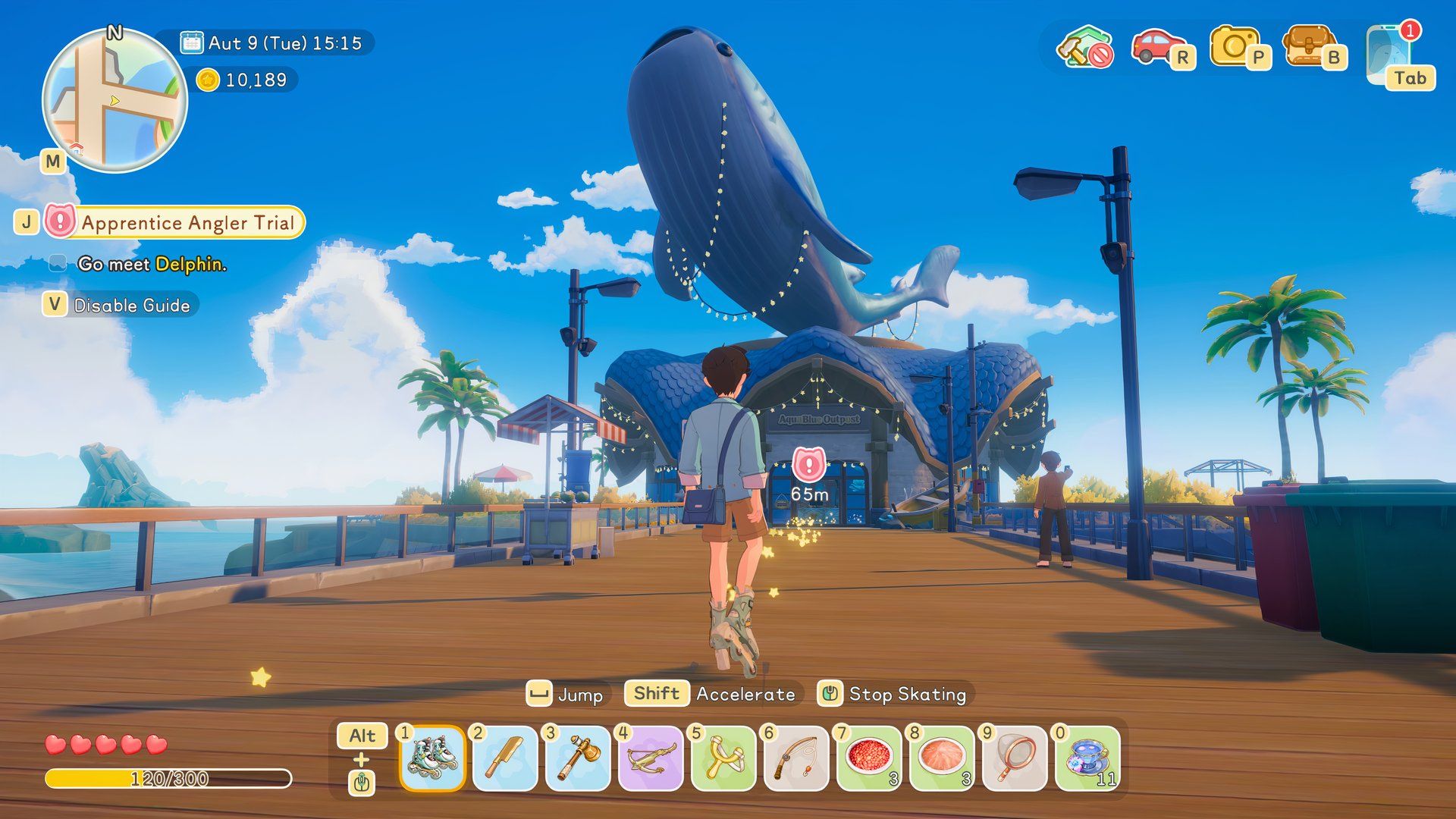 starsand-island-fish-bait