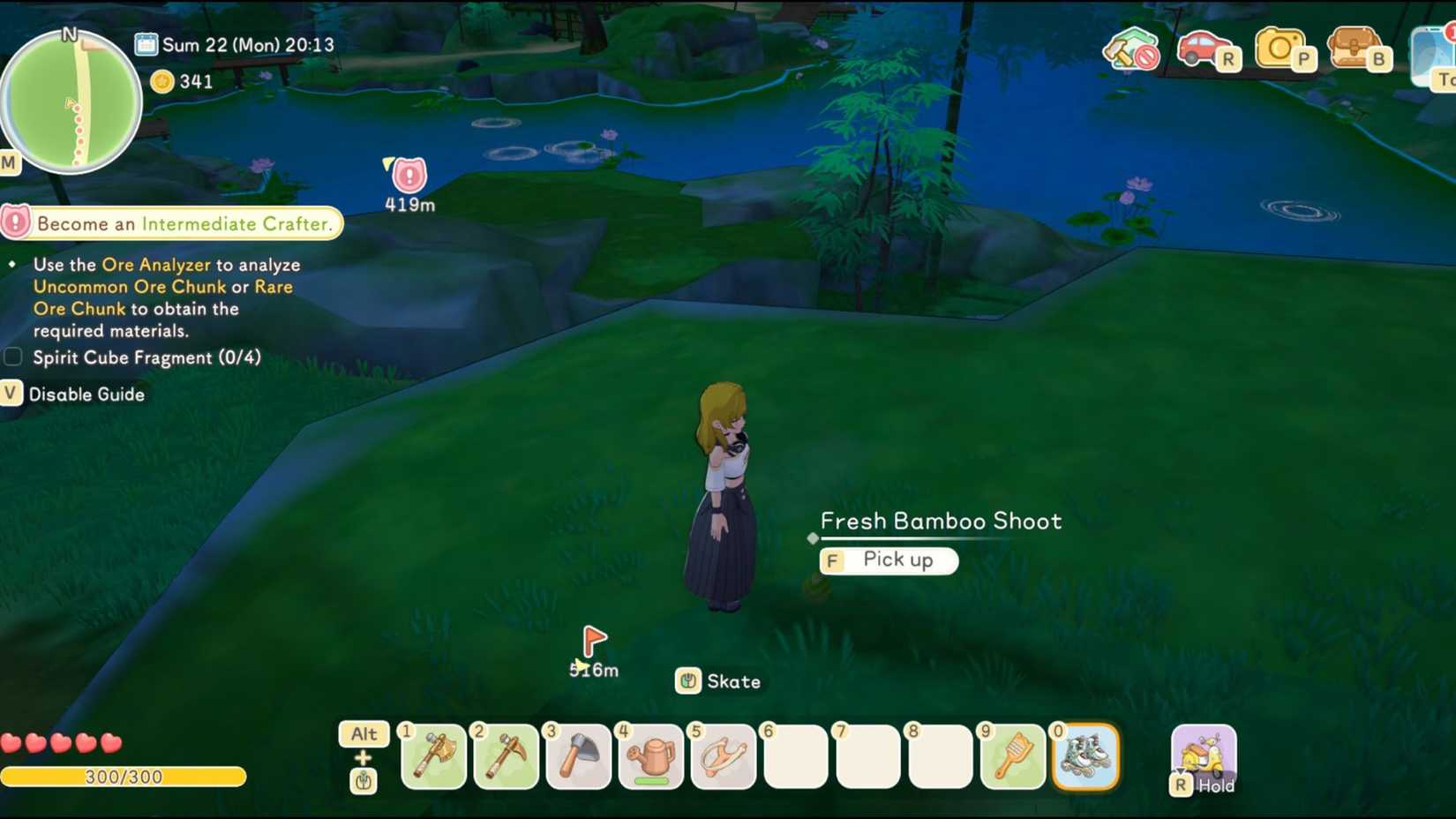 Picking up a fresh bamboo shoot off the ground in Starsand Island