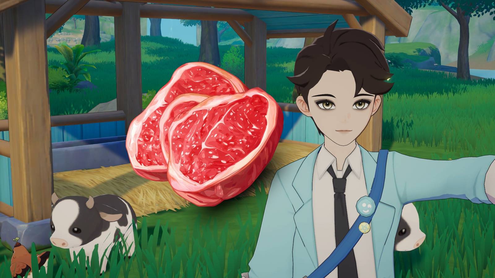 How to Get Meat and Meat Bites in Starsand Island How to Get Meat and Meat Bites in Starsand Island