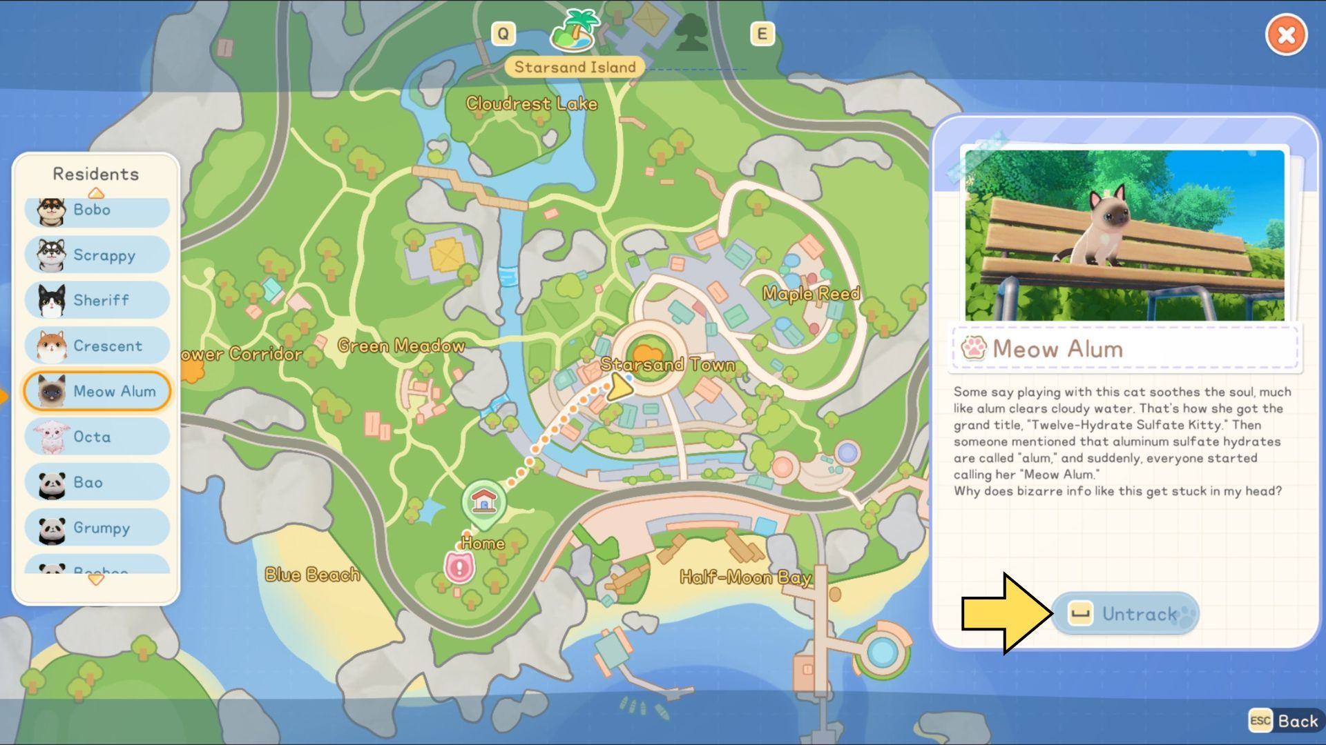 How to Adopt All Pets in Starsand Island
