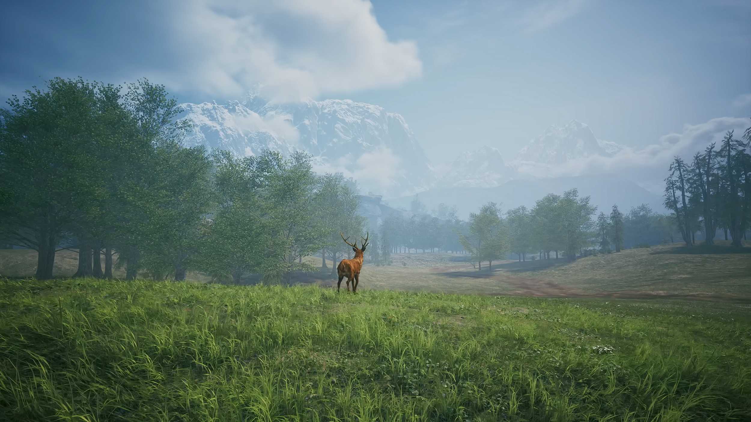 Spider Rdr Red Dead Redemption 2's Spider Dream and Other Unsolved Mysteries Explained