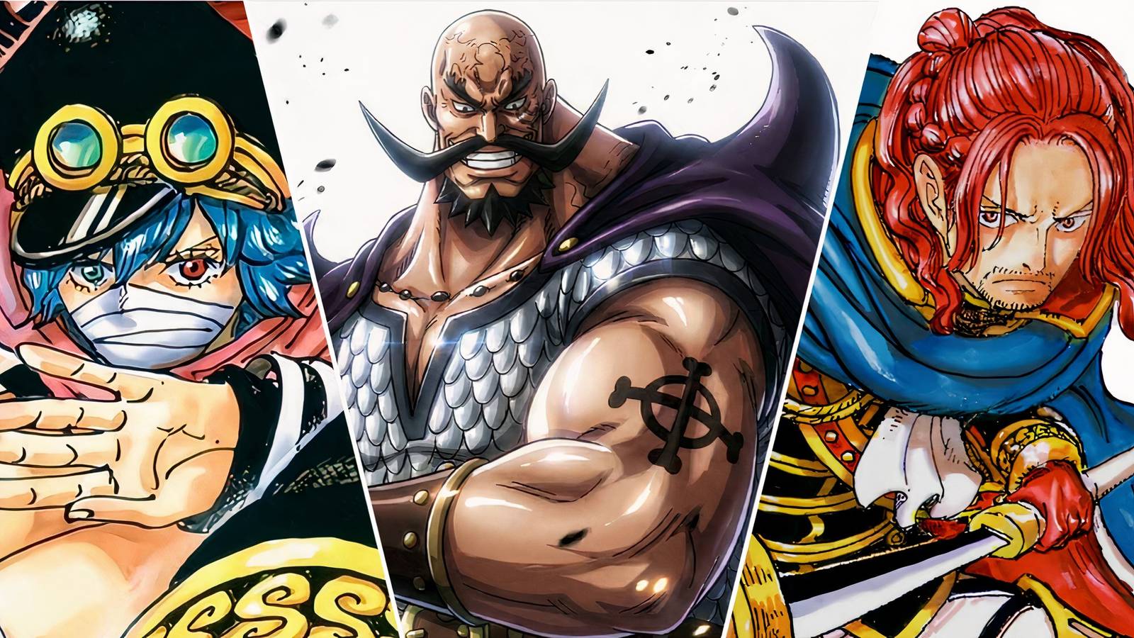 Strongest Members Holy Knights In One Piece