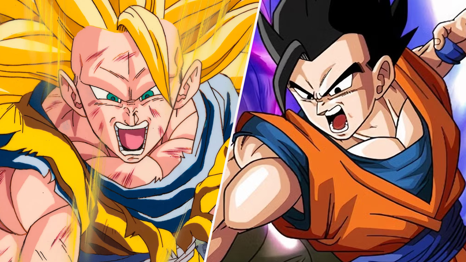 Super Saiyan 3 Goku vs Ultimate Gohan