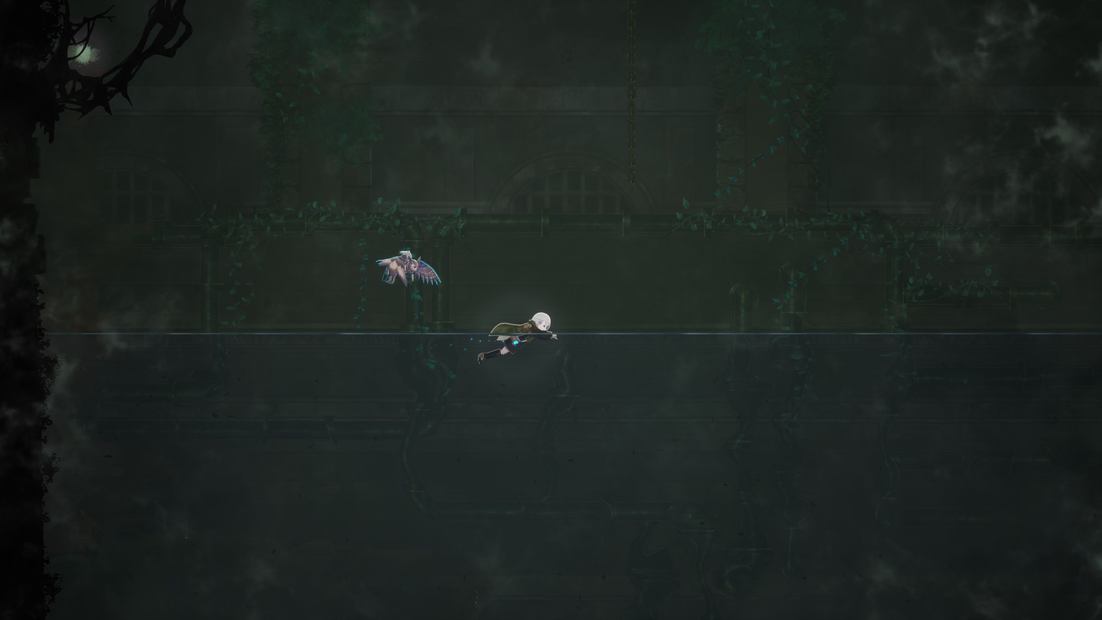 Swimming in Ender Magnolia Bloom in the Mist (2025)